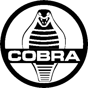 logo-AC-Cobra — BIXHOPE ART