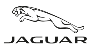 logo-jaguar — BIXHOPE ART